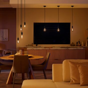 Philips Hue White E27 7W Globe filament G125 550lm