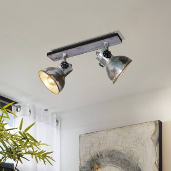 Priemyselné stropné svietidlo Barnstaple 2-pl