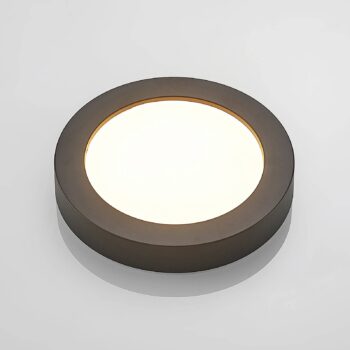 Prios LED stropné svietidlo Edwina, čierne, 23 cm, CCT, IP44