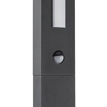 Projektor Lucande Virgalia LED, detektor pohybu, 100 cm, IP54