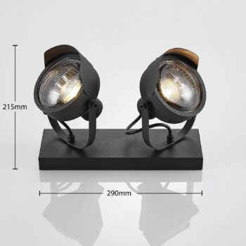 Reflektorová stropná lampa Henega čierna, 2 svetlá