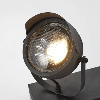 Reflektorová stropná lampa Henega čierna, 2 svetlá