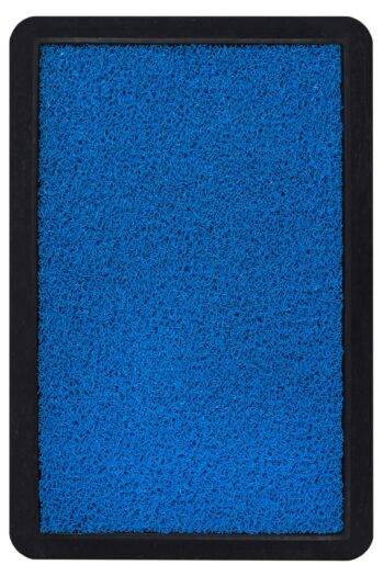 Rohož Disinfectant - tyrkysová 50x75 cm