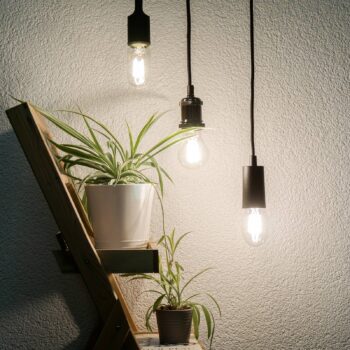 SEGULA LED E27 8W Tube 2 700 K číra stmievateľná