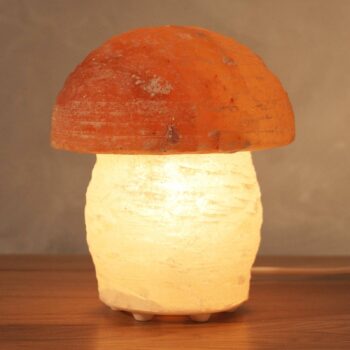 Soľná lampa Hríb