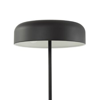 Stojacia lampa Lindby Edion, čierna, kov