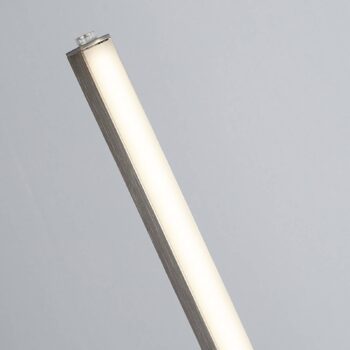 Stojacia lampa Tribeca LED, strieborná/opálová biela, kov, CCT, 150 cm