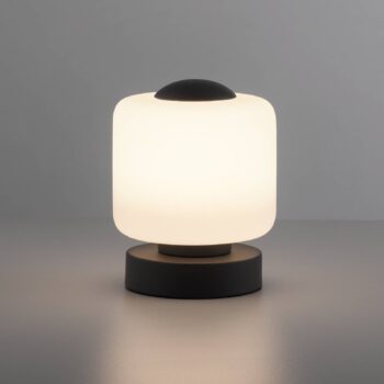 Stolná LED lampa Paul Neuhaus Bota, antracitová farba, sklo, stmievateľná