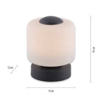 Stolná LED lampa Paul Neuhaus Bota, antracitová farba, sklo, stmievateľná