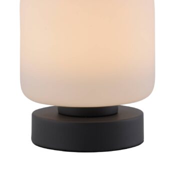 Stolná LED lampa Paul Neuhaus Bota, antracitová farba, sklo, stmievateľná