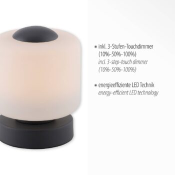 Stolná LED lampa Paul Neuhaus Bota, antracitová farba, sklo, stmievateľná