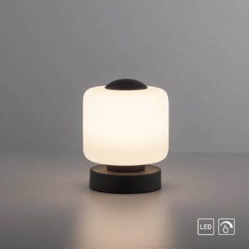 Stolná LED lampa Paul Neuhaus Bota, antracitová farba, sklo, stmievateľná