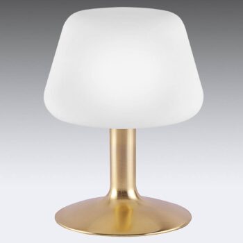 Stolná lampa Paul Neuhaus Till, mosadzná farba, sklo, stmievateľná