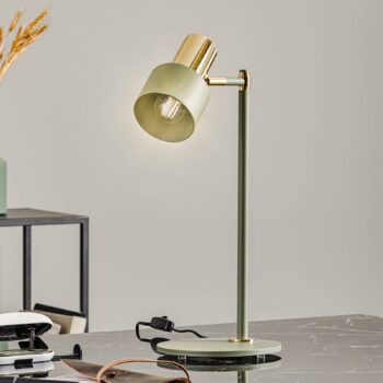 Stolová lampa Destin nastaviteľná zelená/mosadz