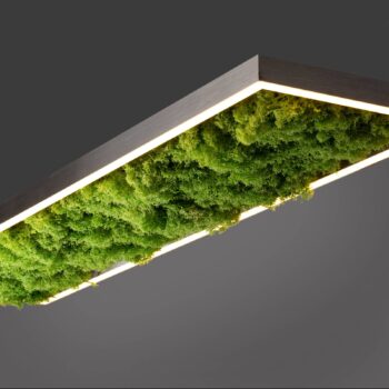 Stropné LED svetlo Green Knut so skutočným machom