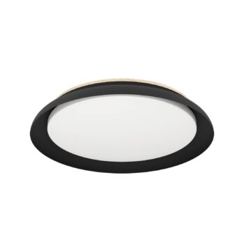 Stropné LED svetlo Penjamo Ø 46,5 cm, čierna