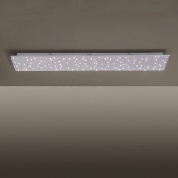 Stropné LED svetlo Sparkle CCT dim oceľ 100x45 cm
