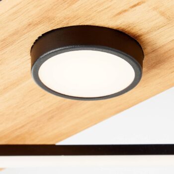 Stropné LED svetlo Woodbridge, 1-plameňové