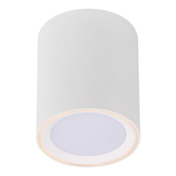 Stropné LED svietidlo Fallon, výška 12 cm