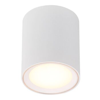 Stropné LED svietidlo Fallon, výška 12 cm