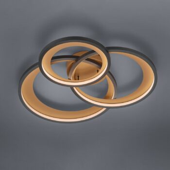 Stropné LED svietidlo Granada, čierna matná/zlatá