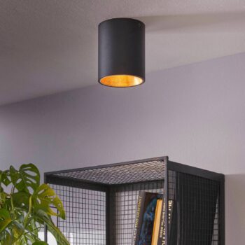 Stropné LED svietidlo Polasso okrúhle čierno-zlaté
