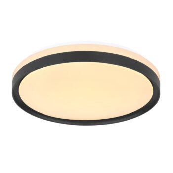 Stropné LED svietidlo Sonny, čierna, CCT, Ø 39 cm