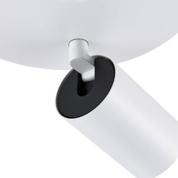 Stropné bodové svetlá CAN TILT, biele, Ø 20 cm, 2-pl. kov, GU10