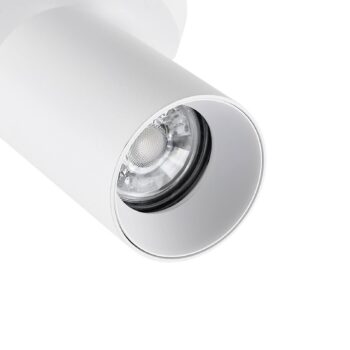 Stropné bodové svetlá CAN TILT, biele, Ø 8 cm, 1-pl. kov, GU10
