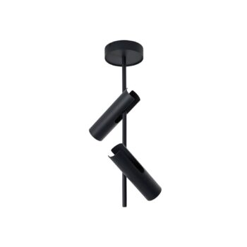 Stropné bodové svetlá Leda 2, antracit, 2-pl., oceľ, výška 55 cm