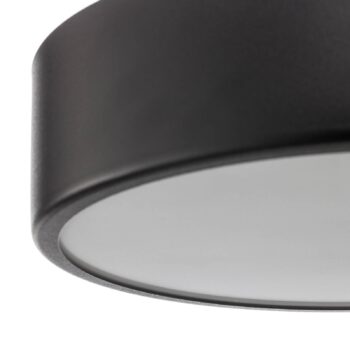 Stropné svietidlo Cleo, Ø 30 cm, IP20, čierne, kov, E27