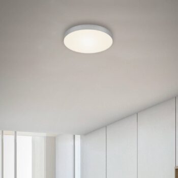 Stropné svietidlo Flame LED, Ø 21,2 cm, strieborná