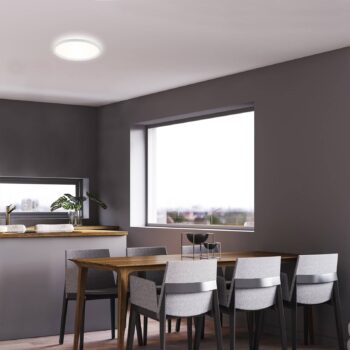 Stropné svietidlo LED Slim, okrúhle, 29,3 cm