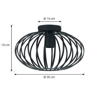 Stropné svietidlo Lindby Maivi, čierne, 30 cm, železo, klietka