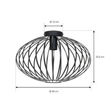 Stropné svietidlo Lindby Maivi, čierne, 40 cm, železo, klietka