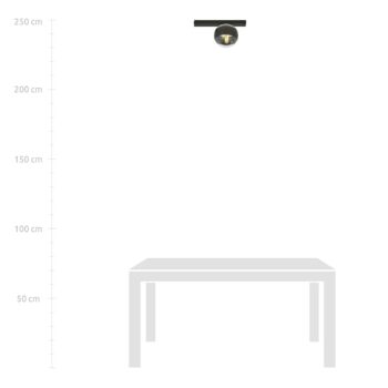Stropné svietidlo Linear, čierne/čisté, 1-plameňové