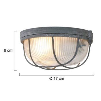 Stropné svietidlo Lisanne, sivá, Ø 17 cm, kov, sklo, E27