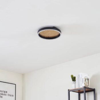 Stropné svietidlo Lucande LED Menulis, čierna/zlatá, PC, Ø 30 cm