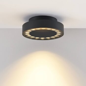 Stropné svietidlo Molto Luce LED Nona, Ø 18,2 cm, antracit