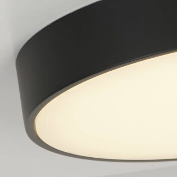 Stropné svietidlo Palma LED, čierne, Ø 25 cm, oceľ/akryl