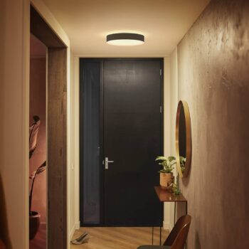 Stropné svietidlo Philips Hue Enrave LED 38,1 cm čierne