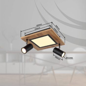 Stropné svietidlo Ulla s LED diódami, 2 svetlá, 30x30cm