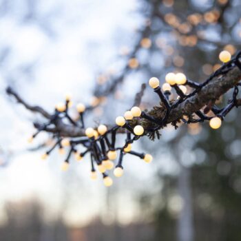 Svetelná LED reťaz Berry Mini, časovač, biela
