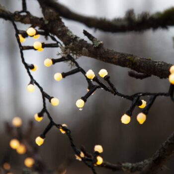 Svetelná LED reťaz Berry Mini, časovač, biela