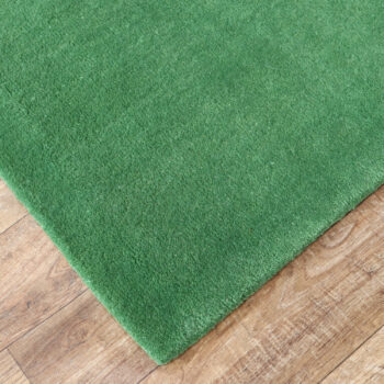 Tiwari Carpet, Ručne všívaný kusový koberec Asra wool sv. zelená, 120x170, zelená, obývacia izba