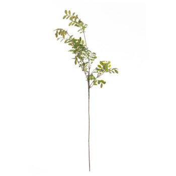 Vetvička Green Twig 100cm, 20 x 5 x 100 cm