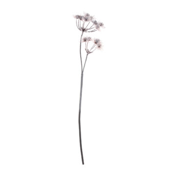 Vetvička Thistle white 100cm, 100 cm