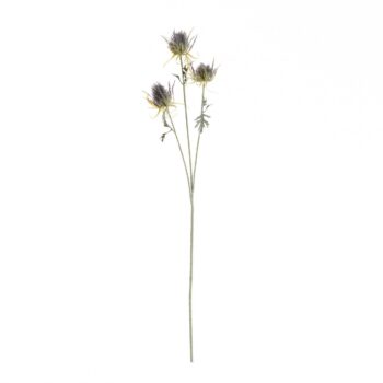 Vetvička bodliaka 70cm, 5 x 5 x 70 cm
