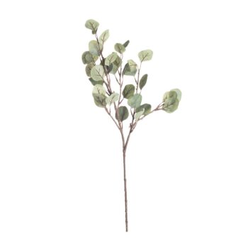 Vetvička eukalyptu 68cm, 10 x 5 x 68 cm
