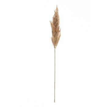 Vetvička trávy pampas 90cm beige, 8 x 8 x 90 cm